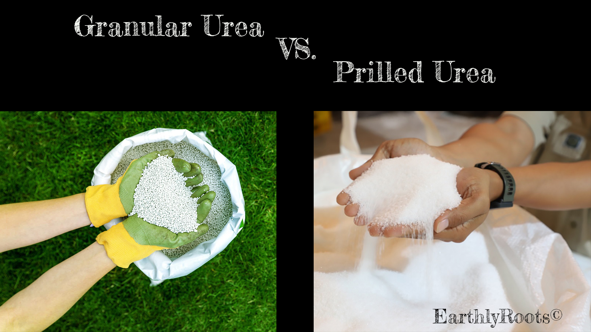 Difference between prilled and granular urea fertilizer Difference between prilled and granular urea fertilizer