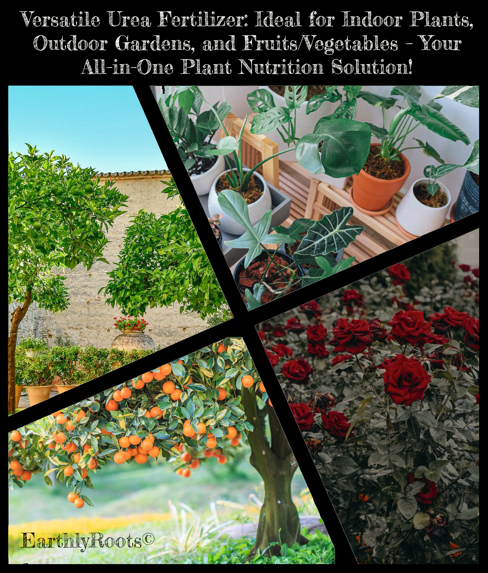 Granular Urea Fertilizer 46-0-0 2.5 kg (5.5 lb)