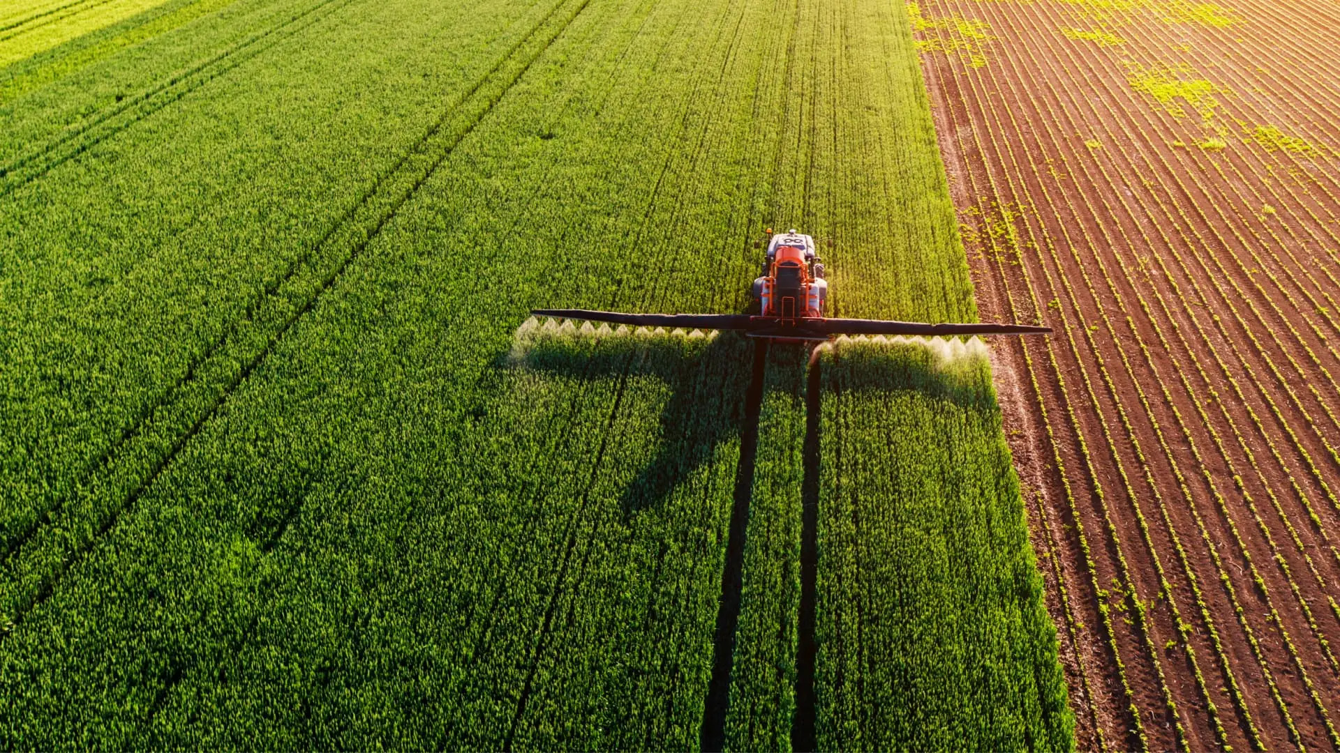 Granular Urea Fertilizer 46-0-0 25 kg (55 lb)