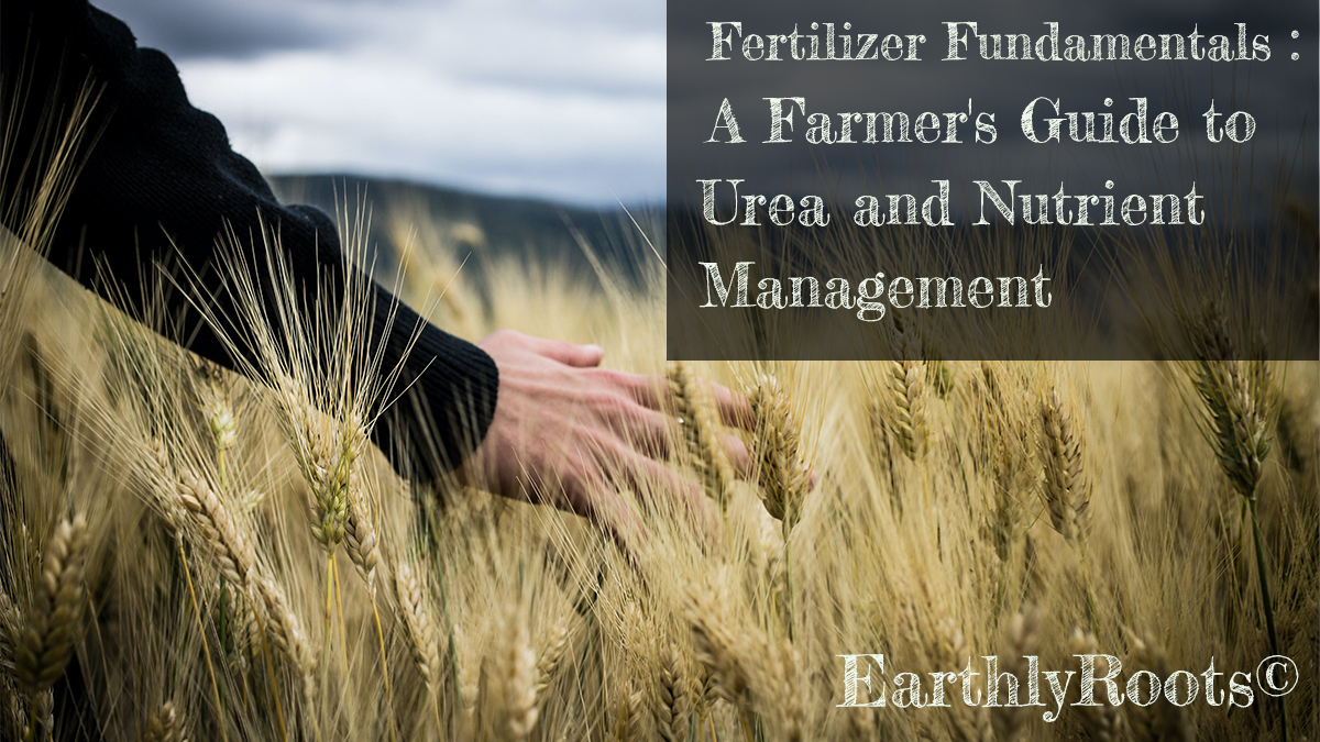 Fertilizer Fundamentals: A Farmer's Guide to Urea and Nutrient Management Master Fertilizer Fundamentals with our Farmer's Guide to Urea and Nutrient Management. Elevate crop yields and sustainable farming practices today